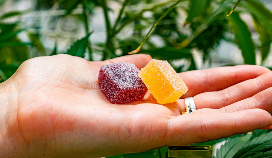 The Sweet Science: Exploring the Benefits of CBD Gummies