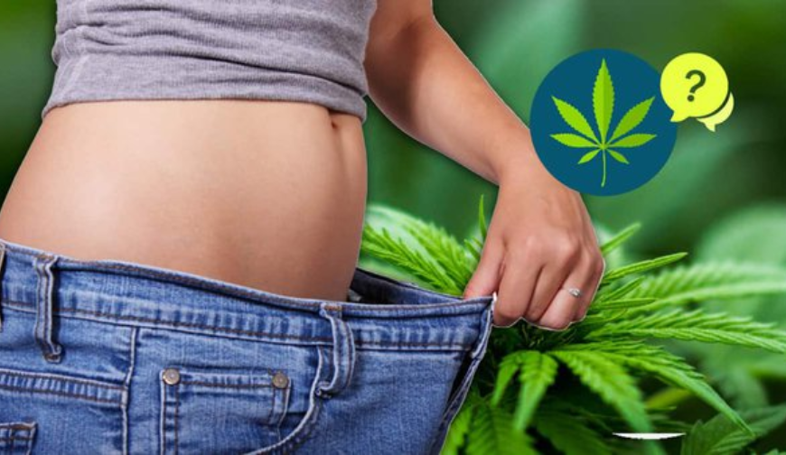 Trimming Down Naturally: Can CBD Aid in Weight Loss?