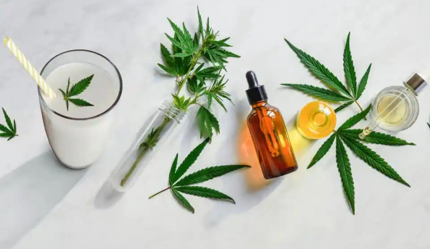 The Skinny on CBD: How Cannabinoids Can Support Healthy Weight Loss